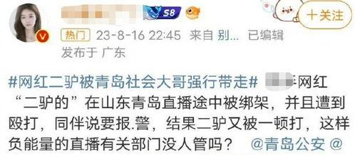 会封杀网红,揭秘封杀背后的真相与反思