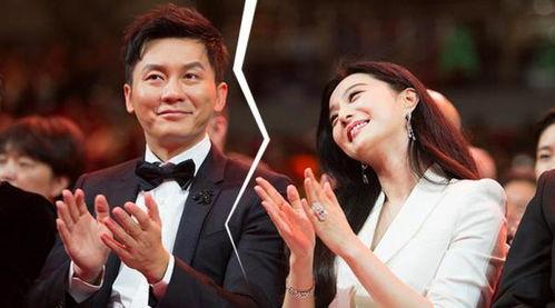 娱乐圈负能量,揭秘明星背后的黑暗面