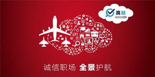 背景调查 夸大简历,揭秘夸大简历背后的惊人真相